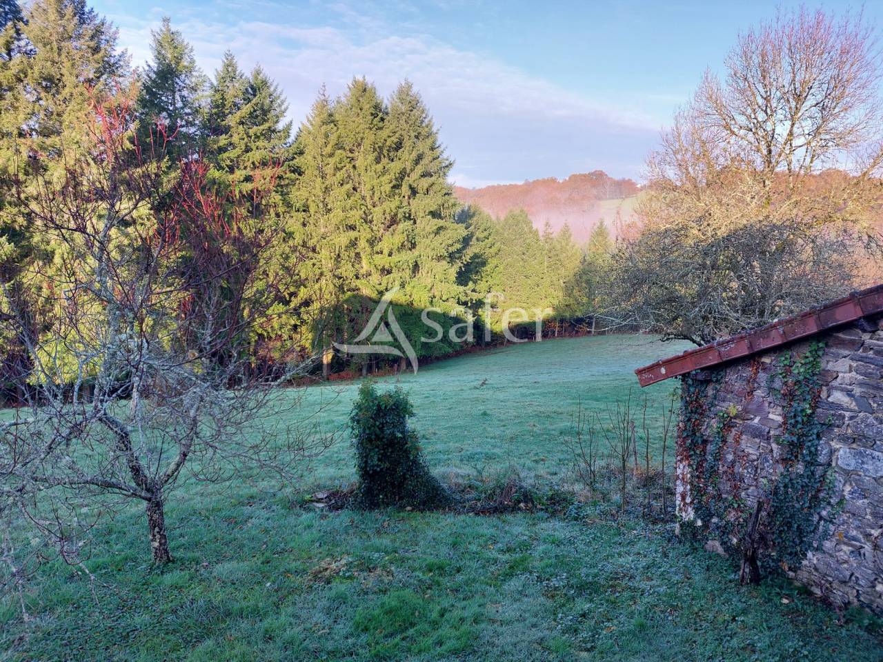 Azienda forestale In vendita Dordogne