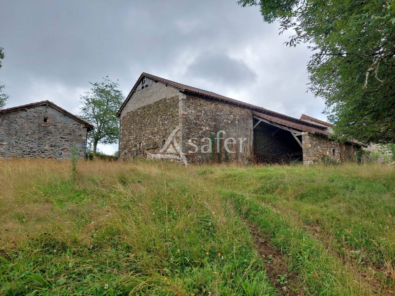 Azienda forestale In vendita Dordogne