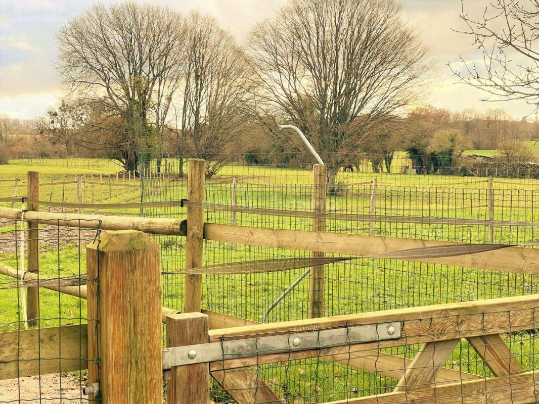 Proprietà equestre In vendita Orne