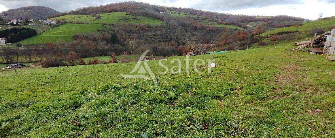 Azienda agricola In vendita Rhône