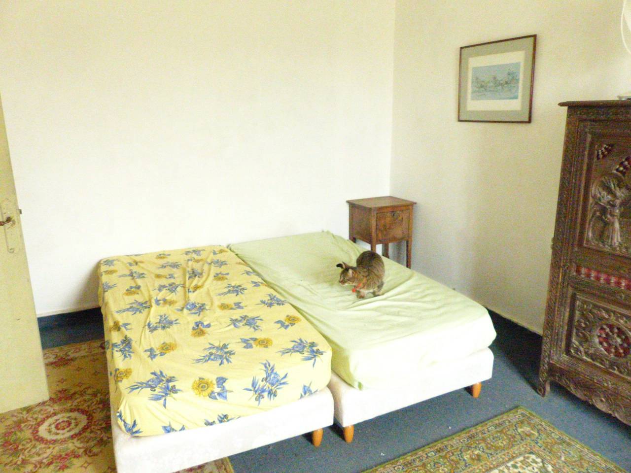 Propriet&agrave; equestre In vendita Indre-et-Loire