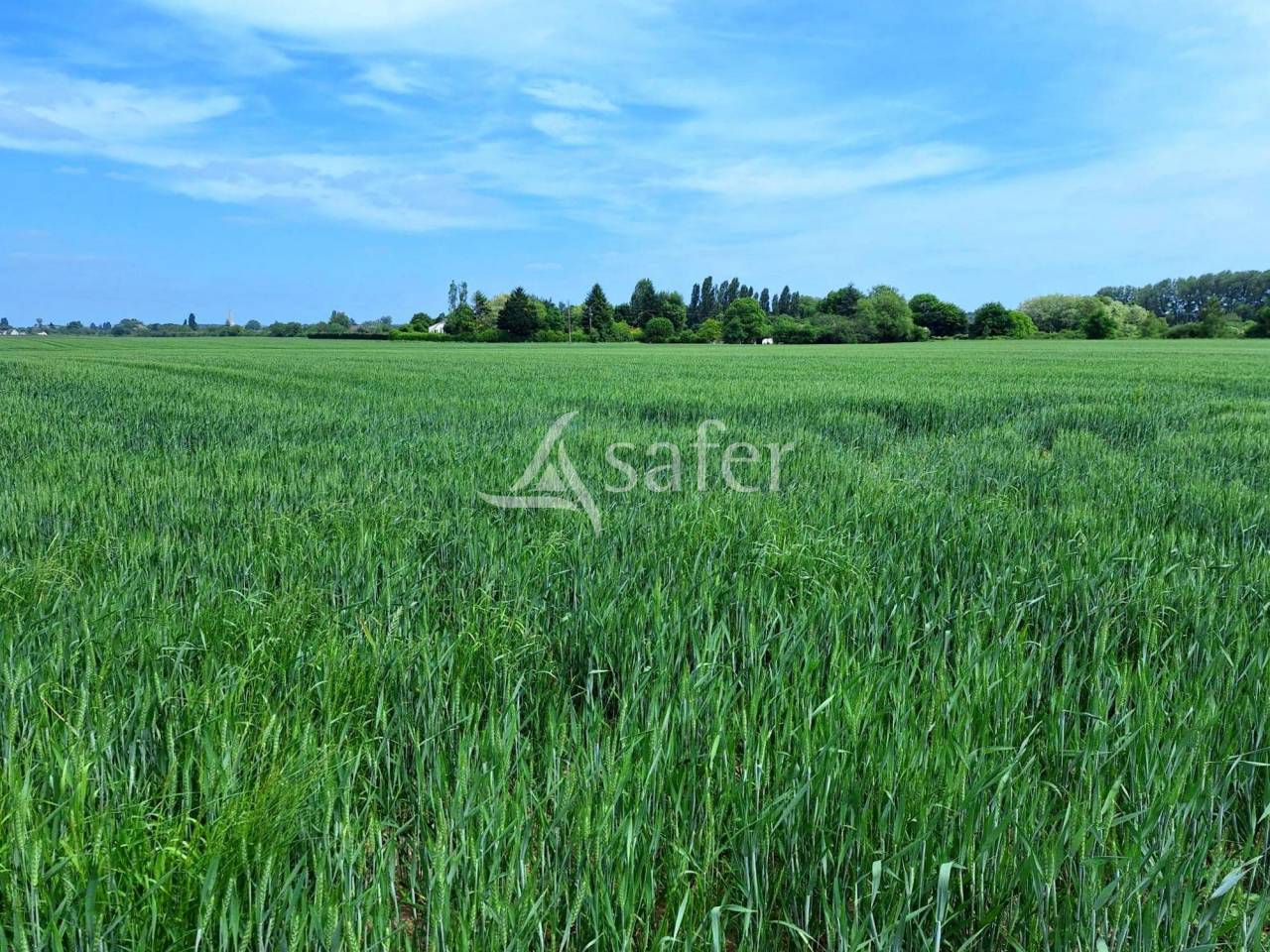 Azienda agricola In vendita Loiret