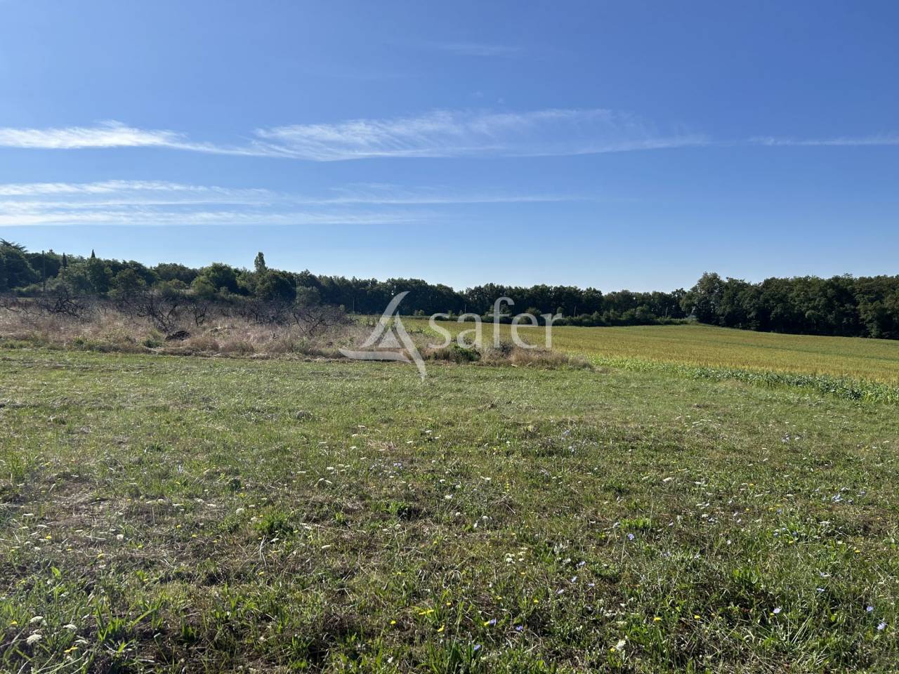 Azienda agricola In vendita Lot-et-Garonne