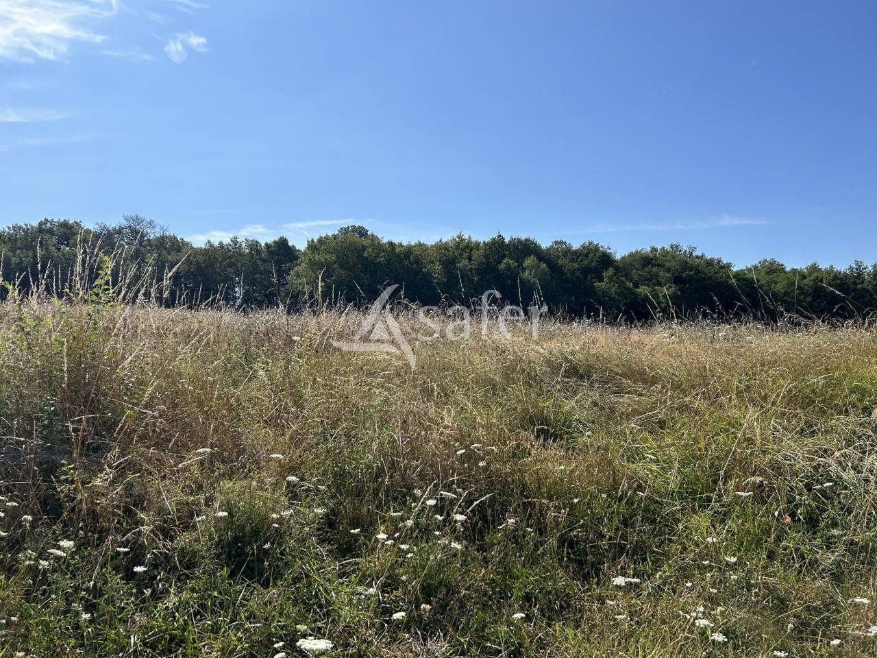 Azienda agricola In vendita Lot-et-Garonne