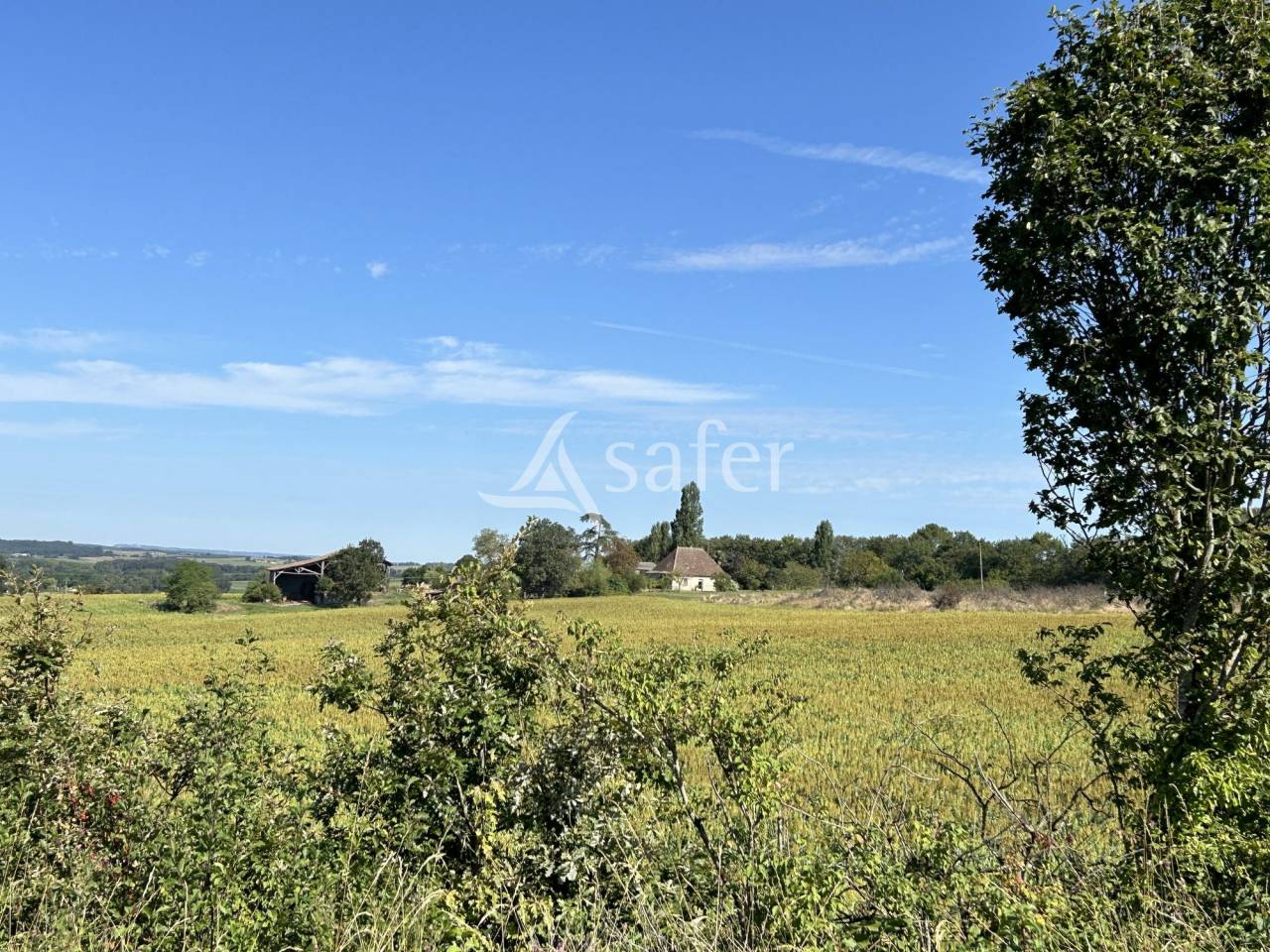 Azienda agricola In vendita Lot-et-Garonne