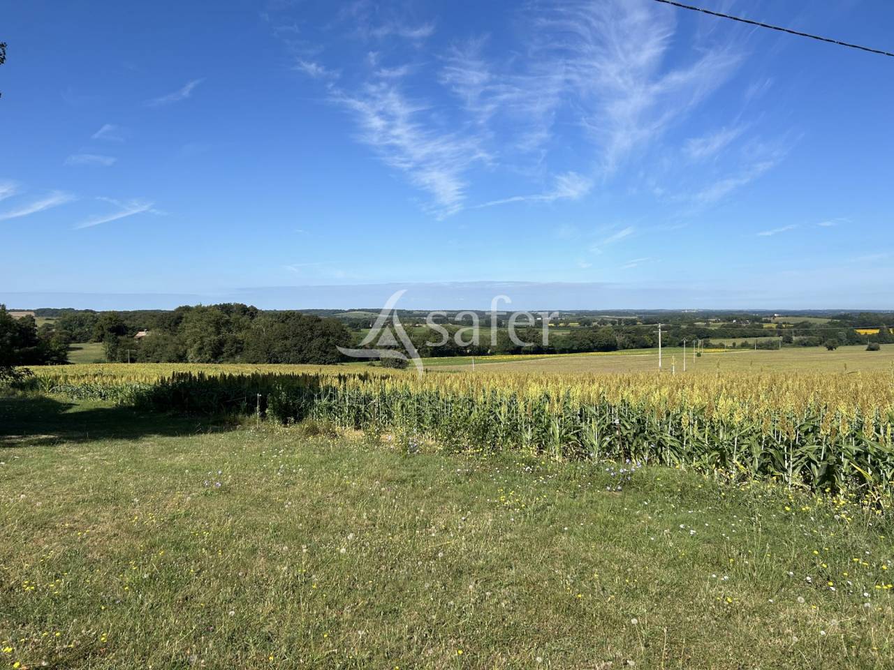 Azienda agricola In vendita Lot-et-Garonne