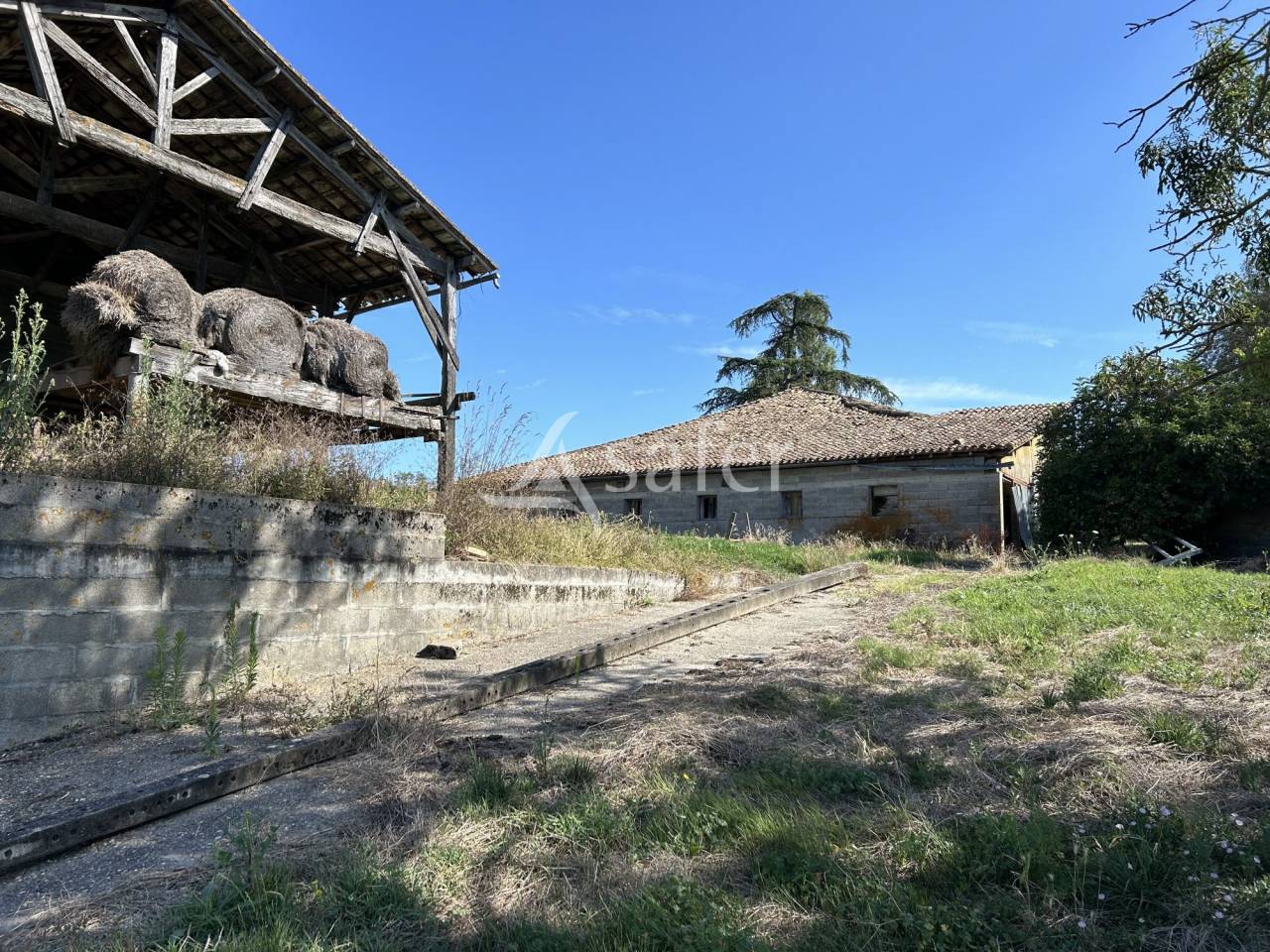 Azienda agricola In vendita Lot-et-Garonne