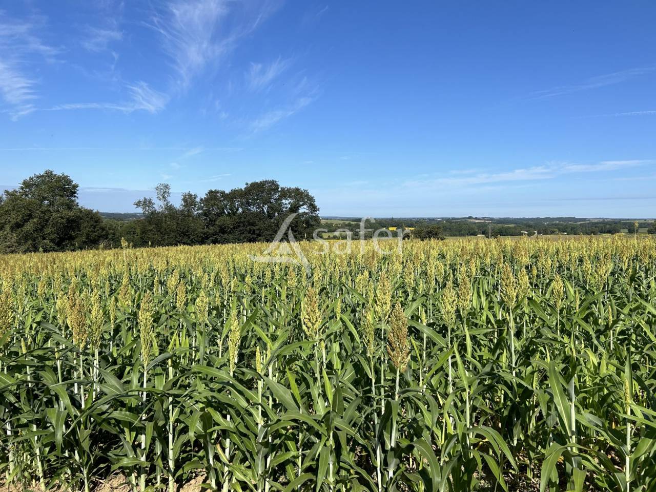 Azienda agricola In vendita Lot-et-Garonne