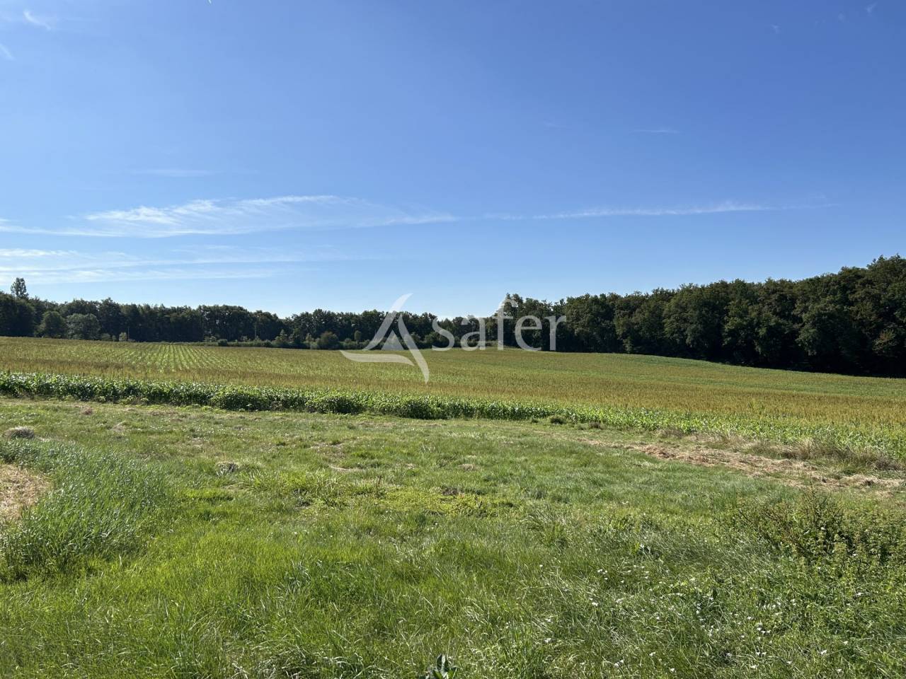 Azienda agricola In vendita Lot-et-Garonne