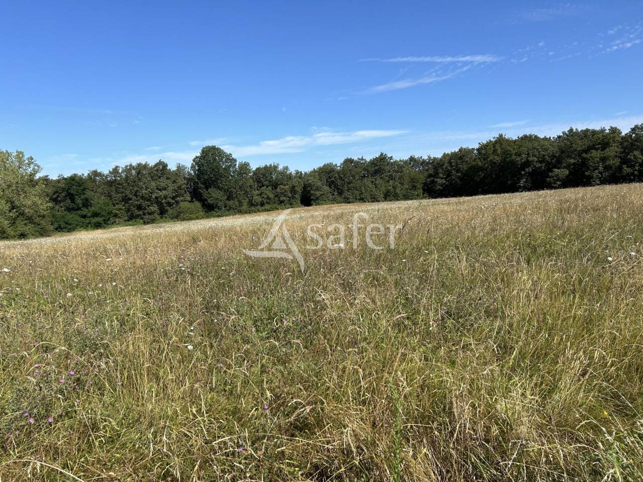 Azienda agricola In vendita Lot-et-Garonne