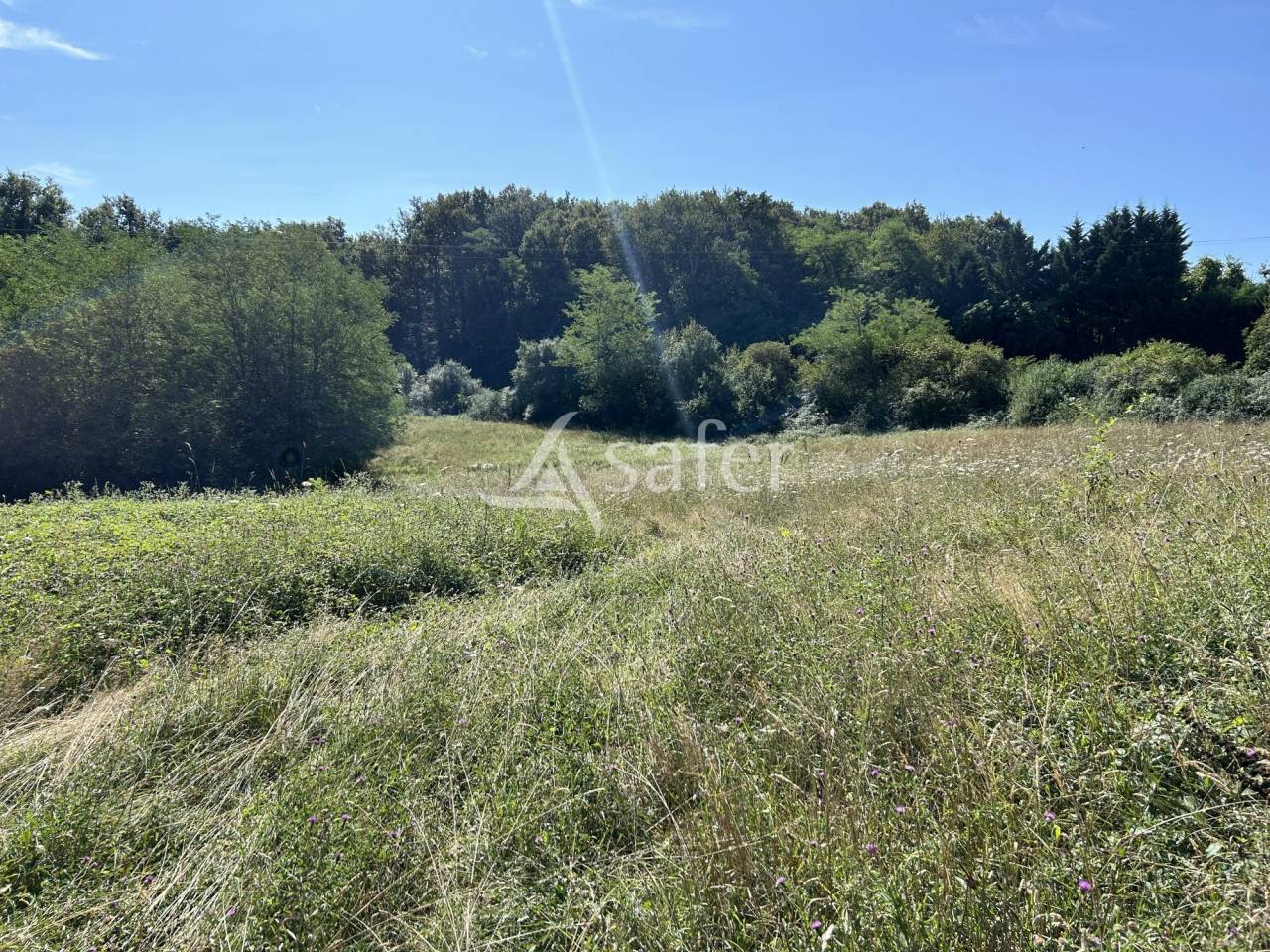 Azienda agricola In vendita Lot-et-Garonne