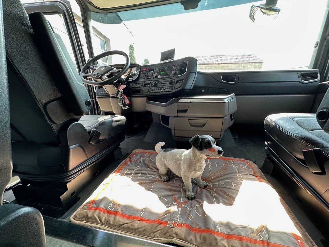 Camion per Cavalli Scania SCANIA 0 Nuovo