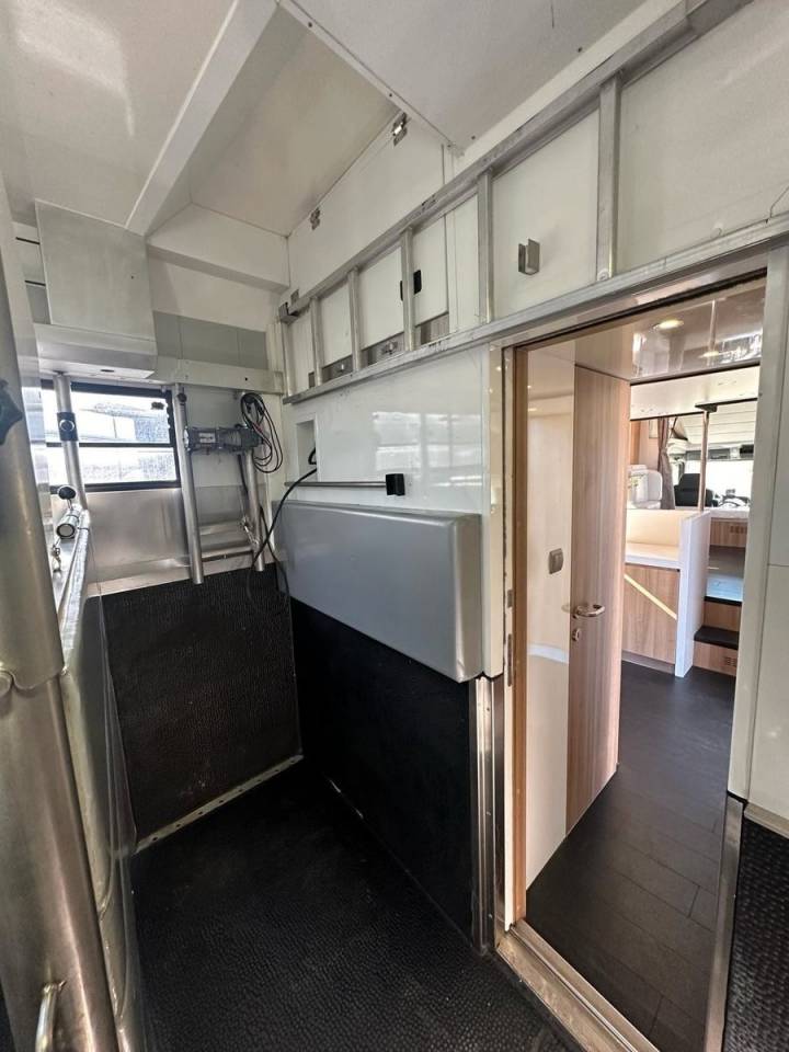 Camion per Cavalli Man MAN 0 Occasione