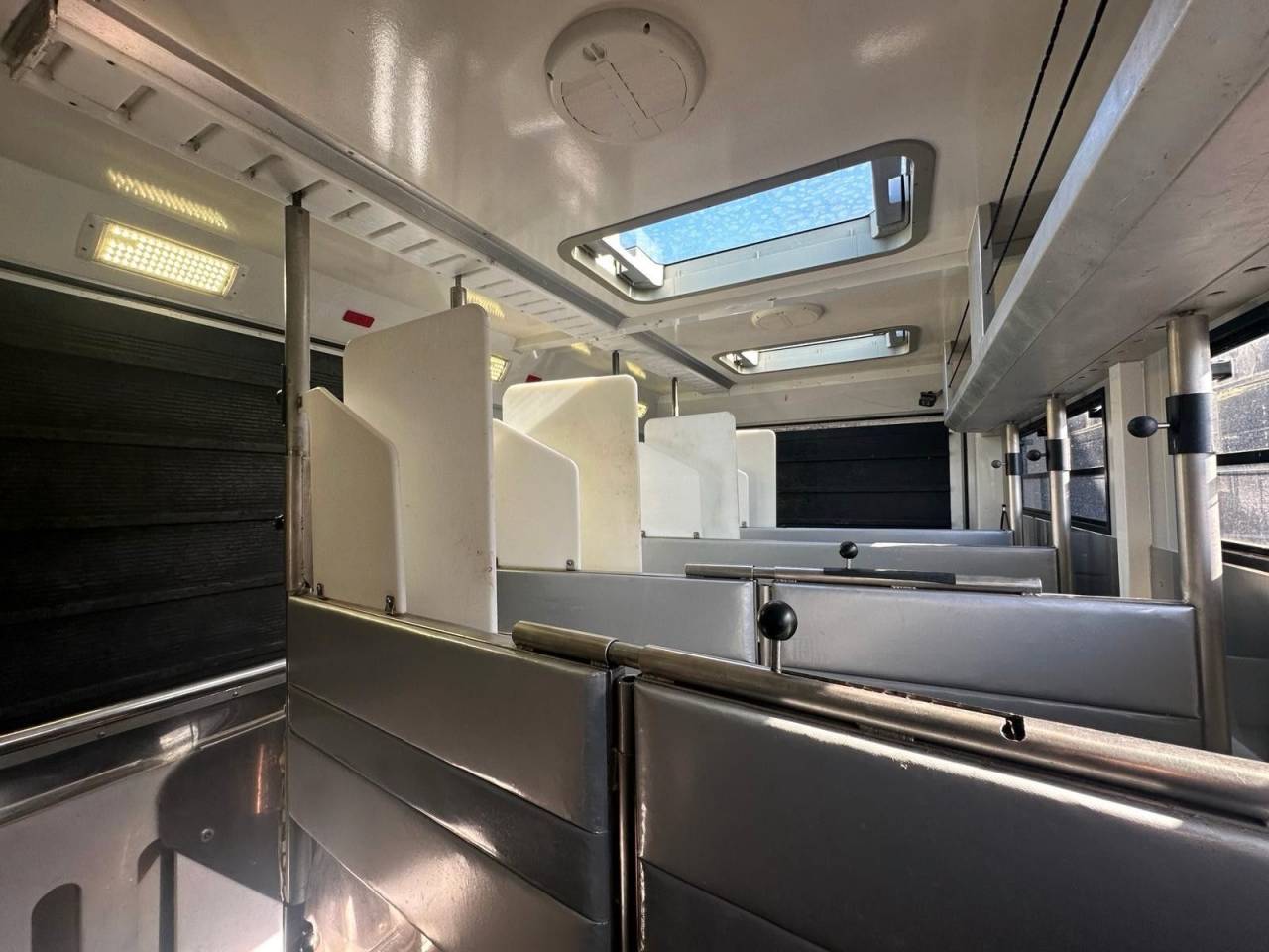 Camion per Cavalli Man MAN 0 Occasione