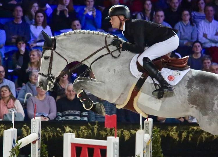 Cavalla Sella Francese In vendita 2007 Baio ,  ALLEGRETO