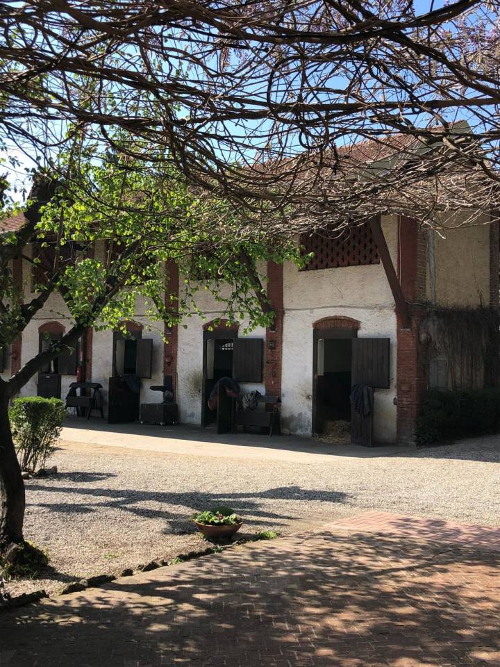 Offriamo pensione cavalli in ambiente famigliare. 