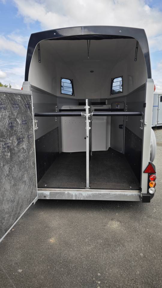 Trailer Ifor Williams Hbe 506 2 Cavalli 2025 Nuovo