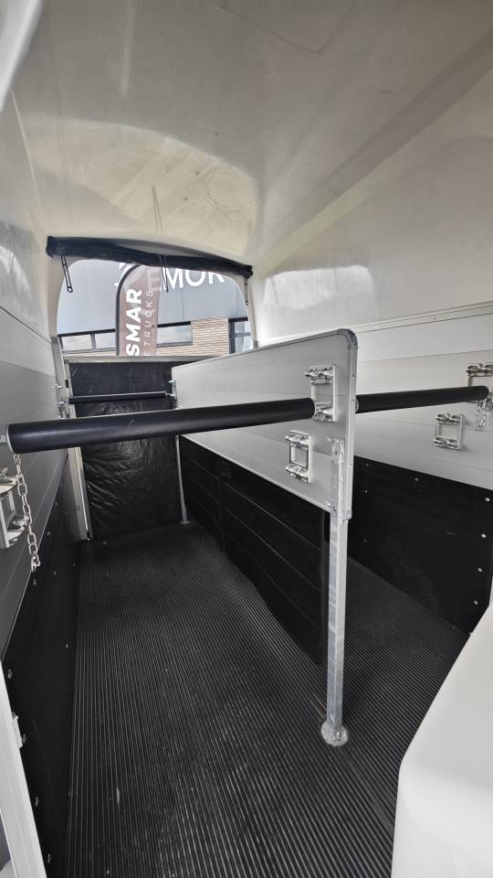 Trailer Ifor Williams Hbe 506 2 Cavalli 2025 Nuovo