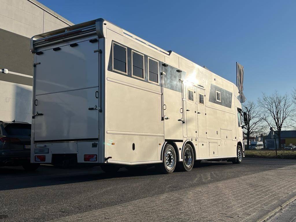 Camion per Cavalli Man MAN 0 Occasione