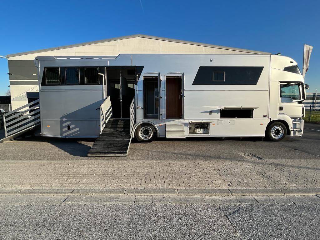 Camion per Cavalli Man MAN 0 Occasione