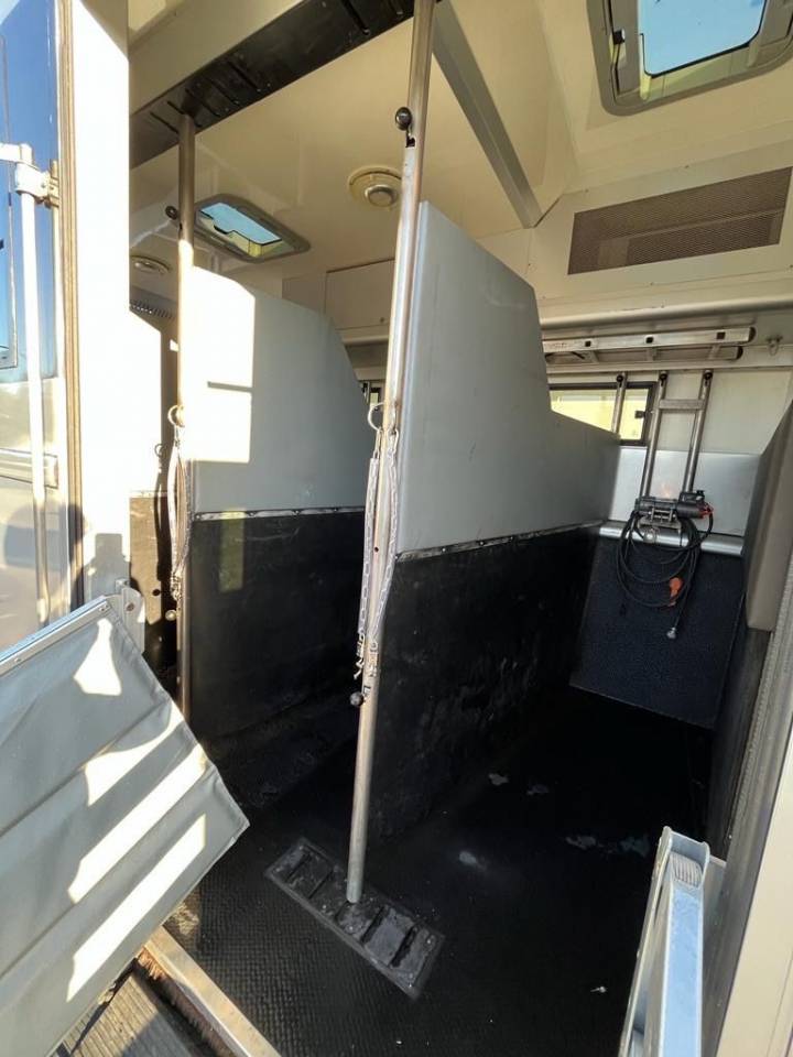 Camion per Cavalli Man MAN 0 Occasione