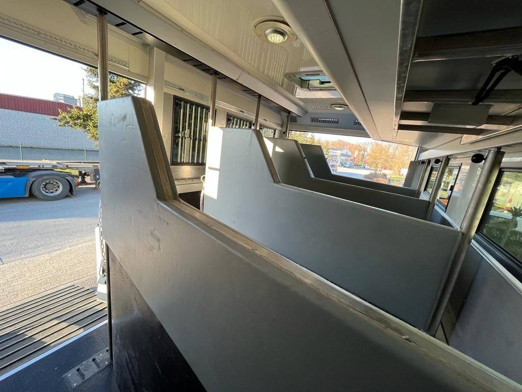 Camion per Cavalli Man MAN 0 Occasione