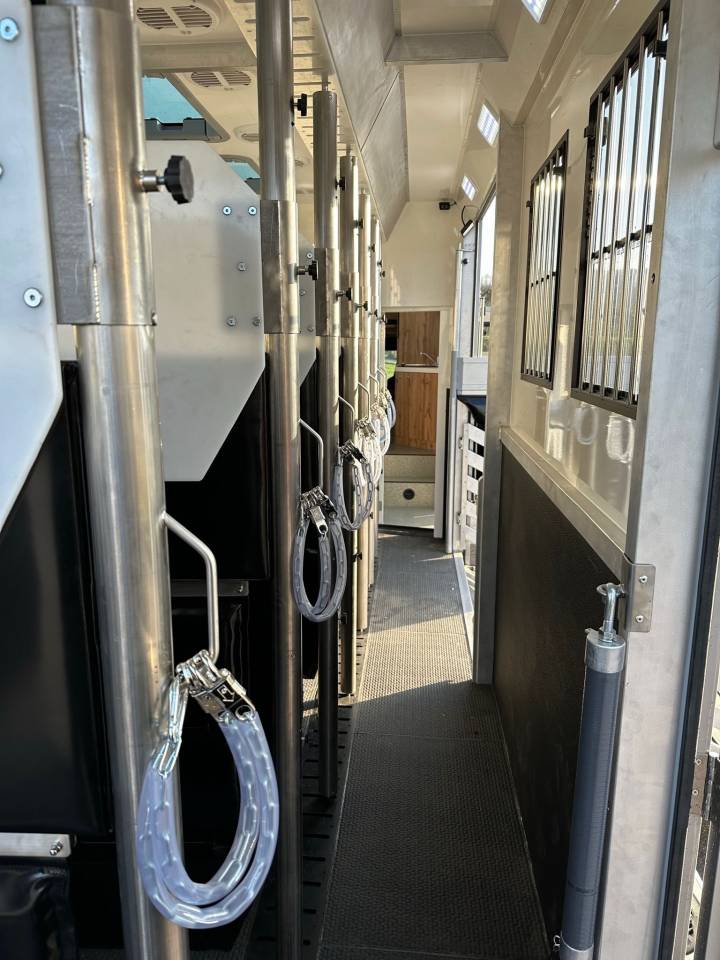 Camion per Cavalli Man MAN 0 Nuovo