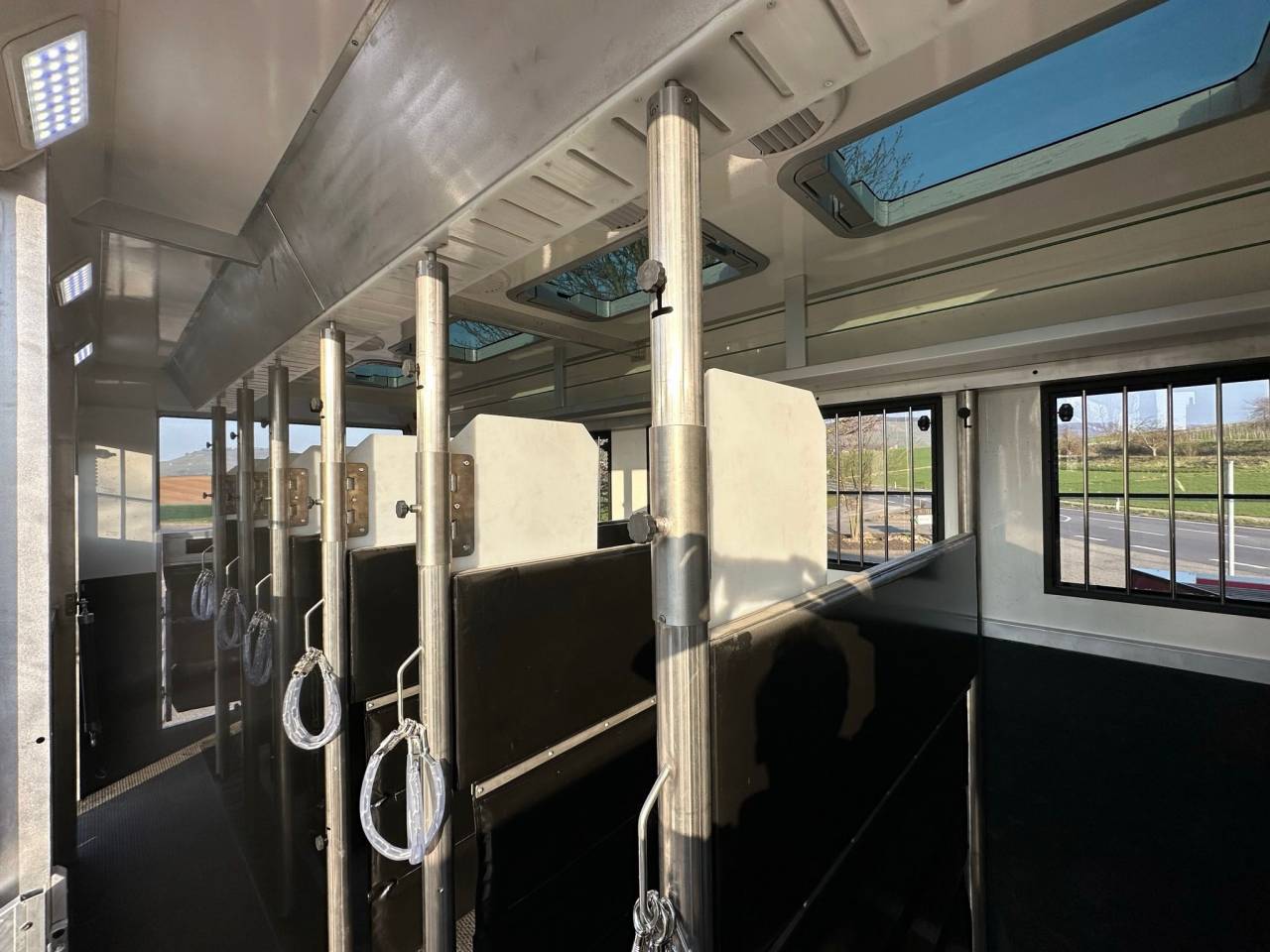 Camion per Cavalli Man MAN 0 Nuovo