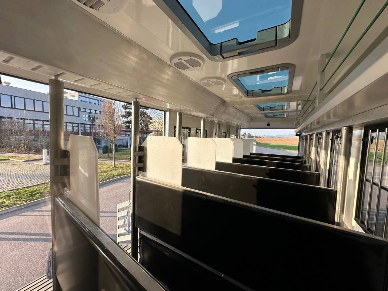 Camion per Cavalli Man MAN 0 Nuovo