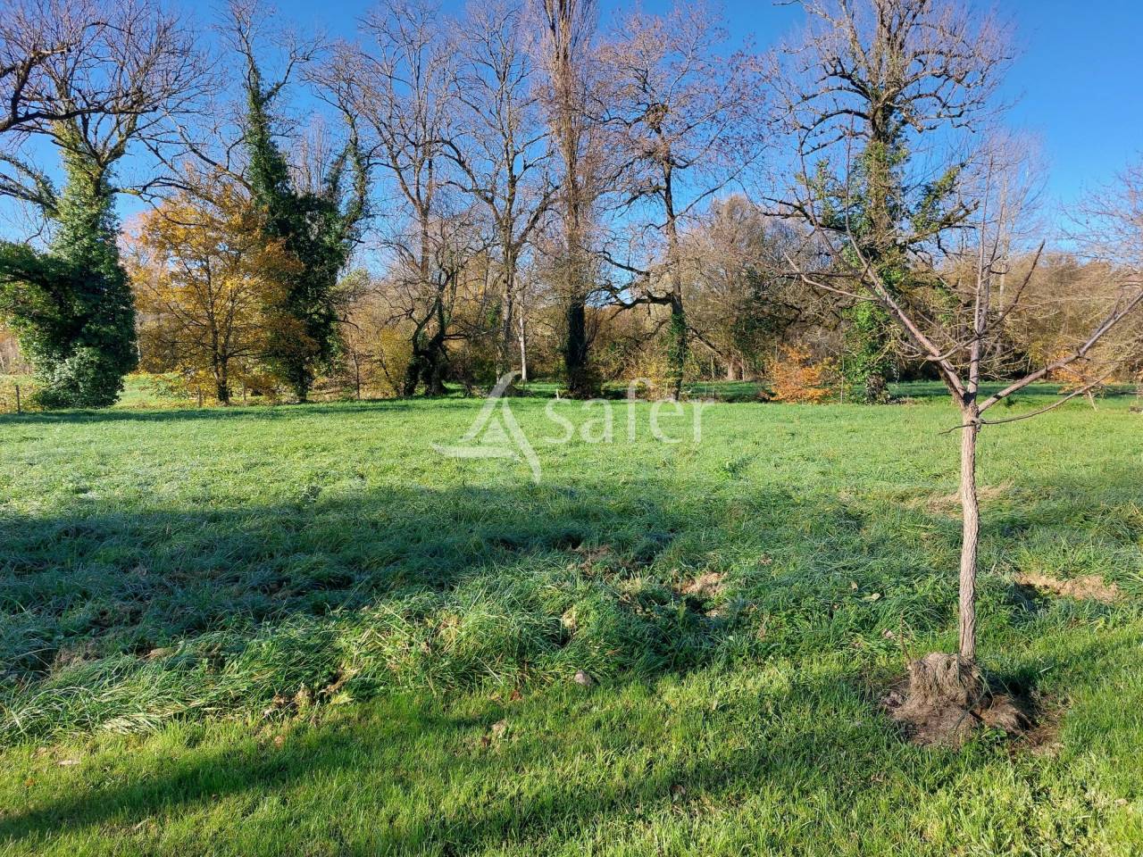 Proprietà rurale In vendita Dordogne
