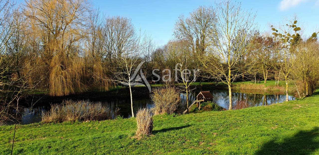Azienda agricola In vendita Deux-Sèvres
