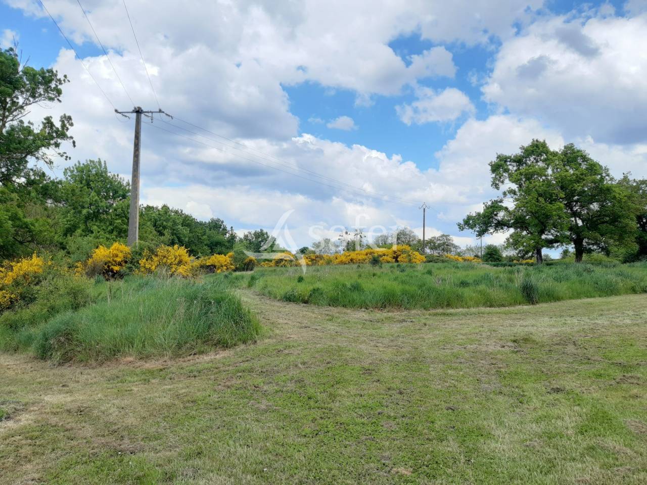 Azienda agricola In vendita Deux-Sèvres