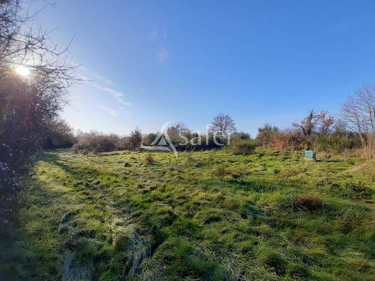 Azienda agricola In vendita Deux-Sèvres
