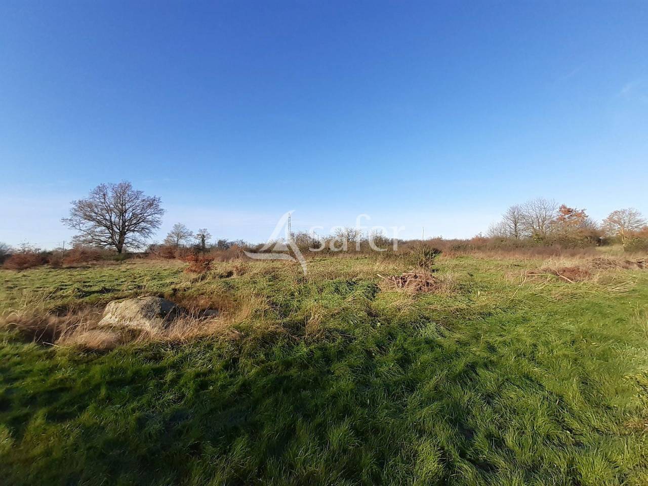 Azienda agricola In vendita Deux-Sèvres