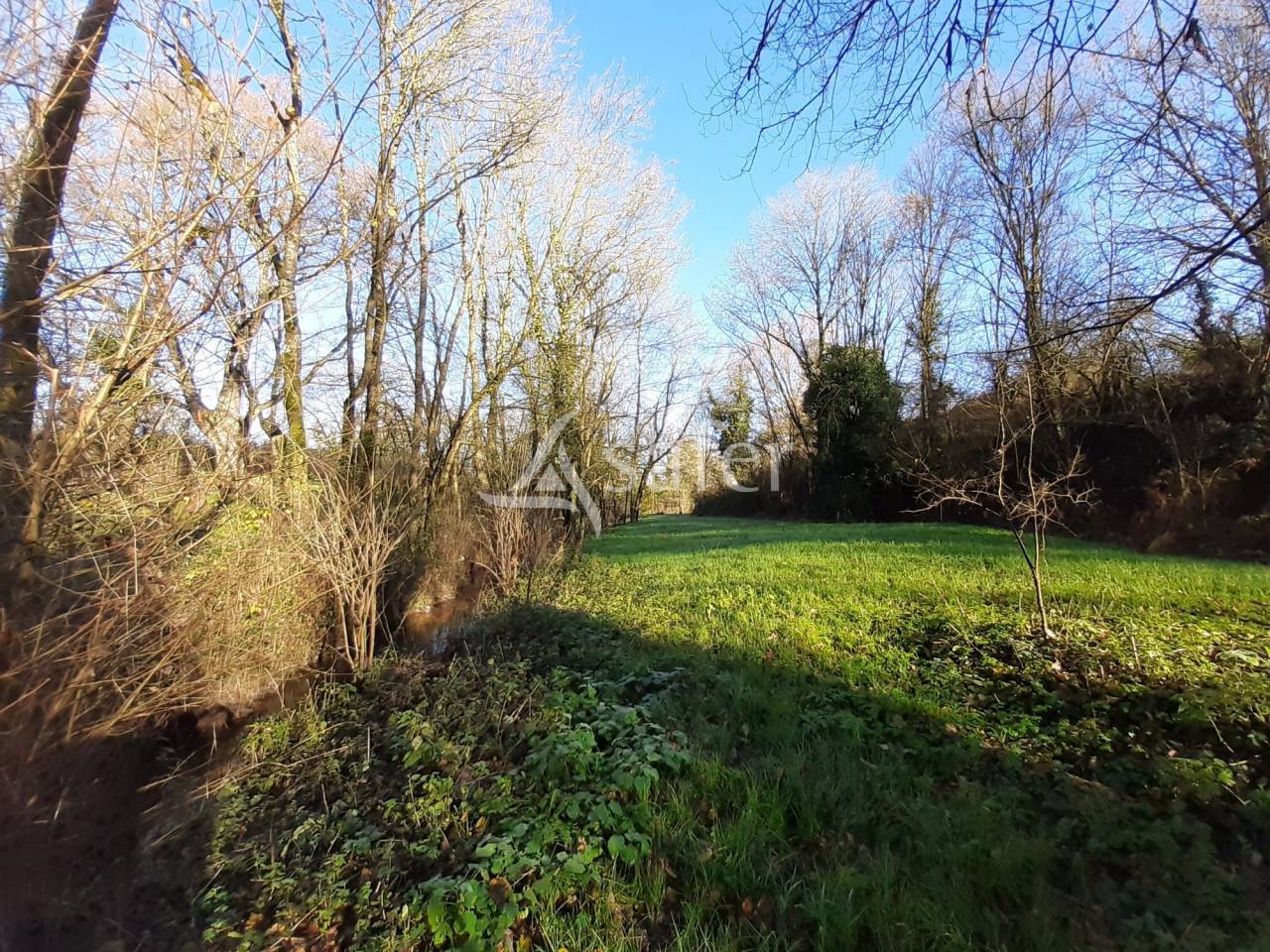 Azienda agricola In vendita Deux-Sèvres