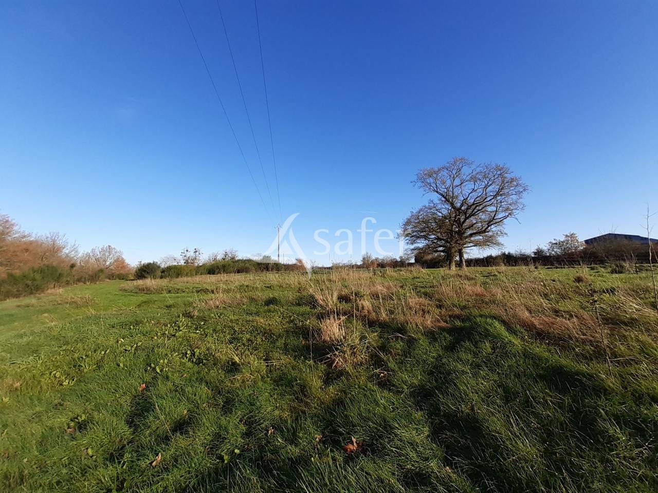 Azienda agricola In vendita Deux-Sèvres