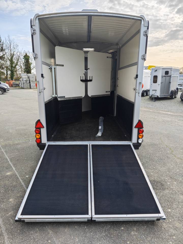 Trailer Ifor Williams Hb511 2 Cavalli 2025 Nuovo