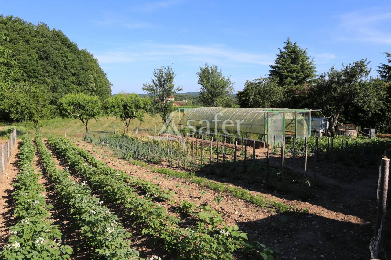 Proprietà rurale In vendita Lot