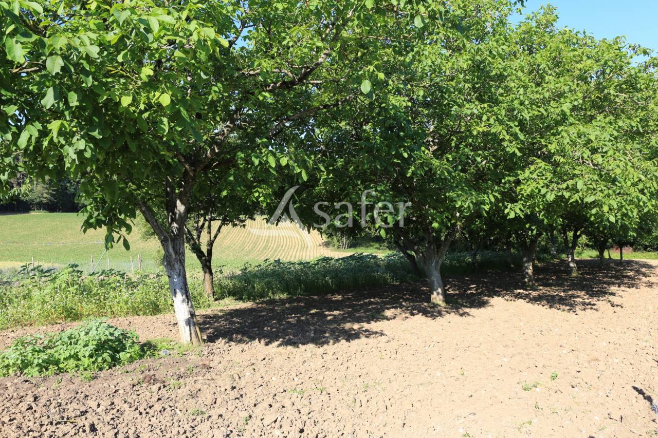 Proprietà rurale In vendita Lot