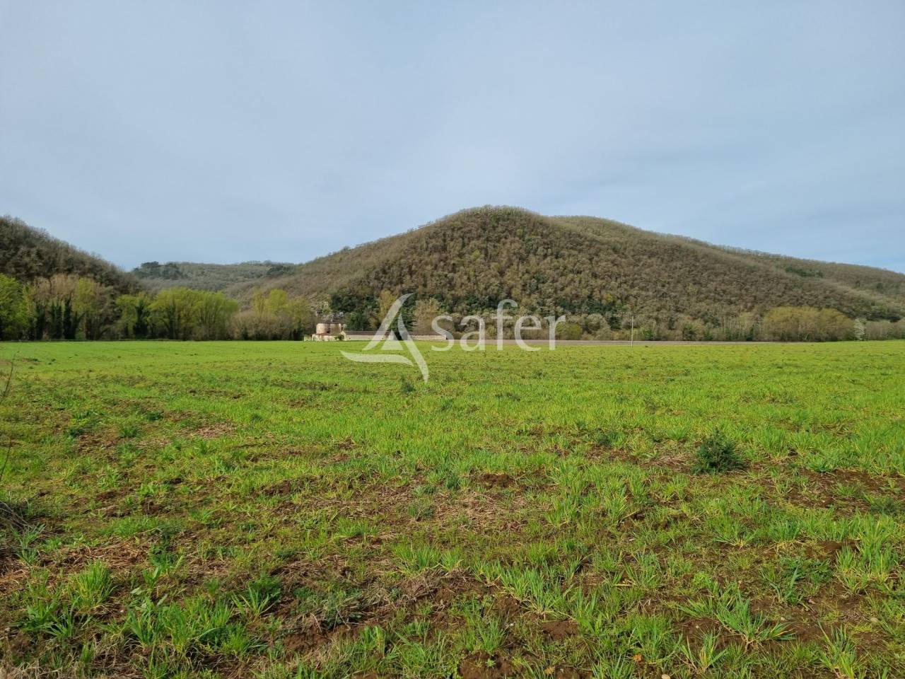 Proprietà rurale In vendita Lot