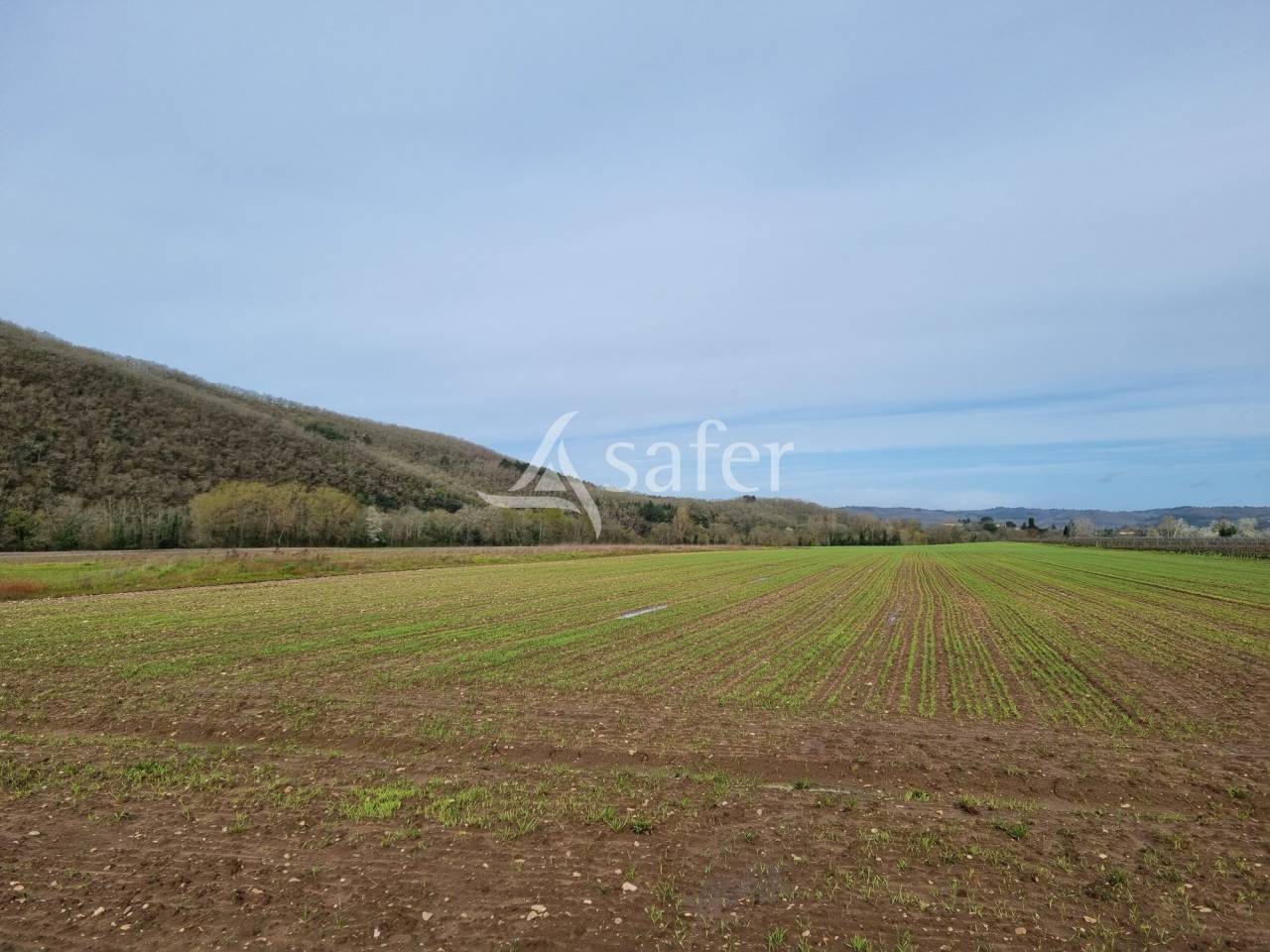 Proprietà rurale In vendita Lot