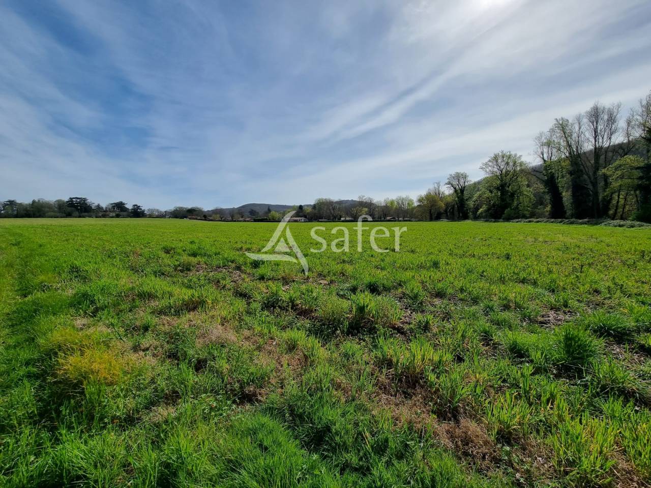 Proprietà rurale In vendita Lot