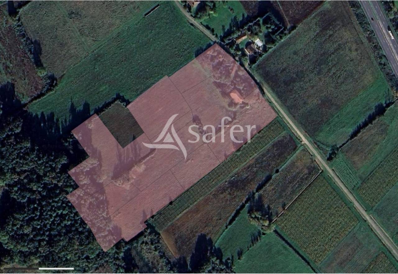 Azienda agricola In vendita Lot-et-Garonne