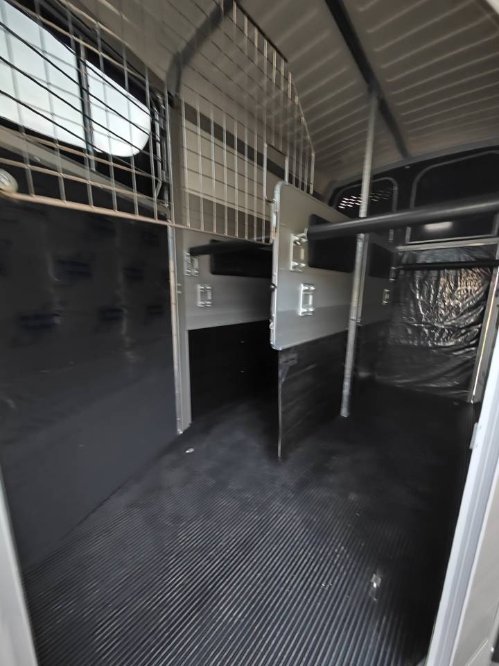 Trailer Ifor Williams Hbx506 2 Cavalli 2025 Nuovo