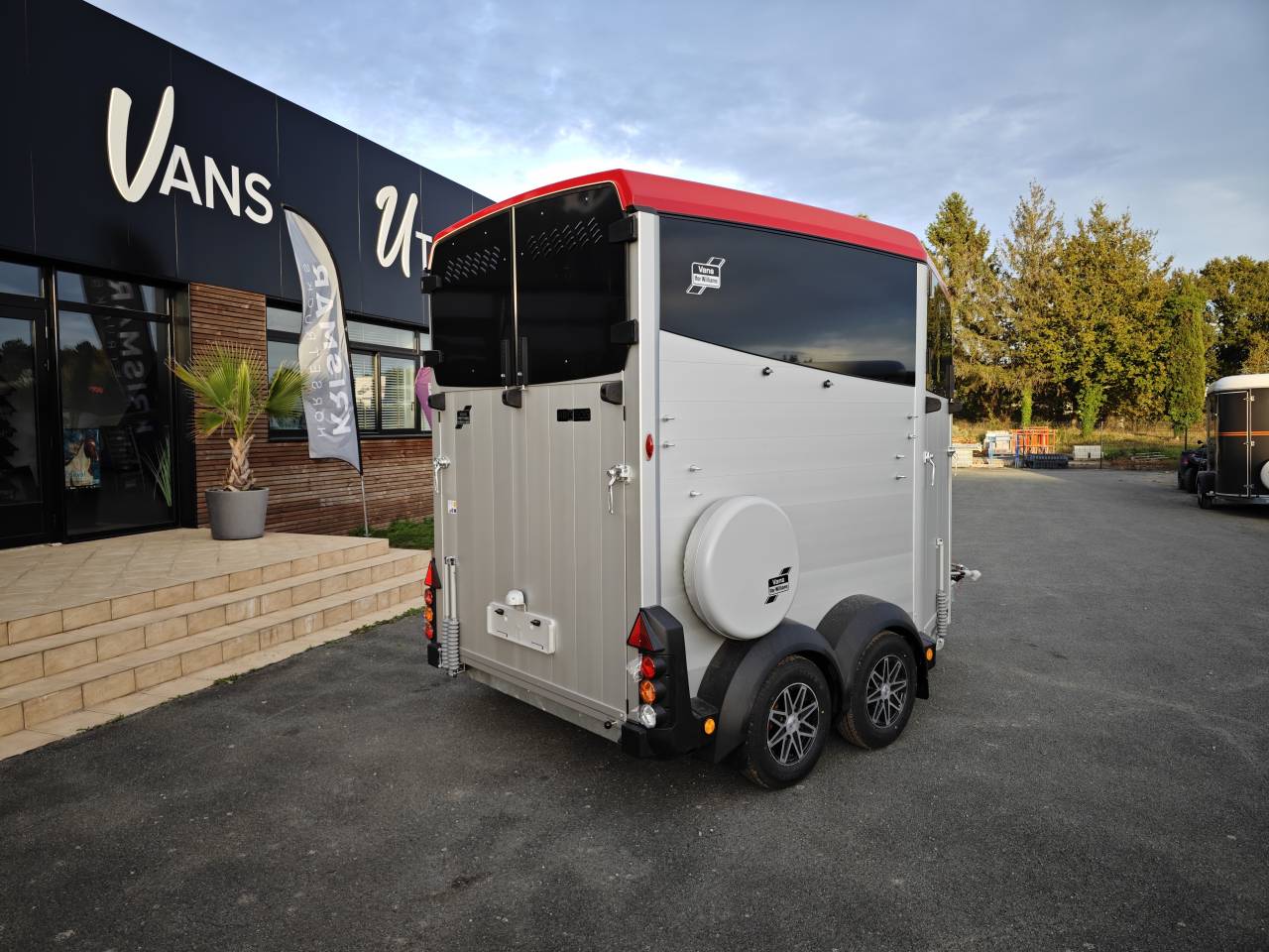 Trailer Ifor Williams Hbx506 2 Cavalli 2025 Nuovo