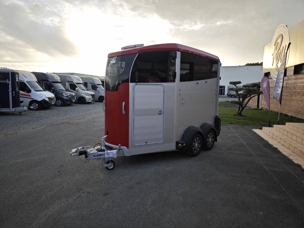 Trailer Ifor Williams Hbx506 2 Cavalli 2025 Nuovo