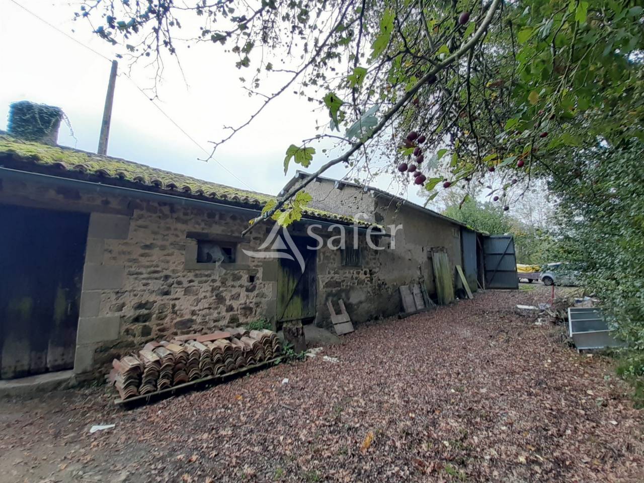 Proprietà equestre In vendita Deux-Sèvres