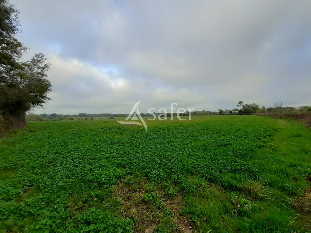 Proprietà equestre In vendita Deux-Sèvres