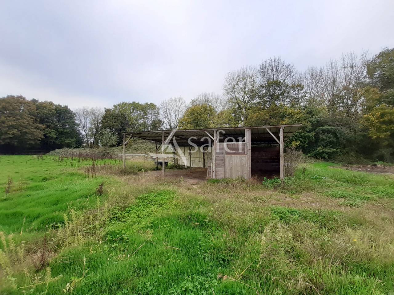 Proprietà equestre In vendita Deux-Sèvres