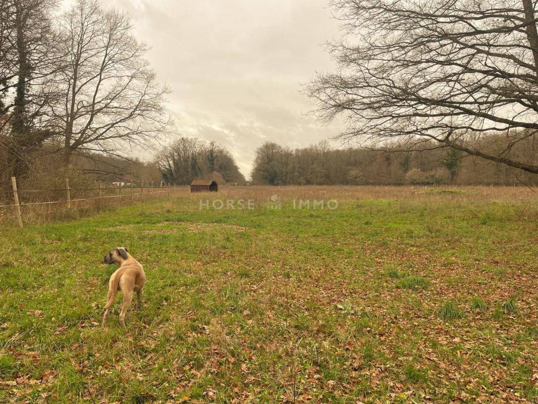 Centro di stagione cavallo In vendita Oise